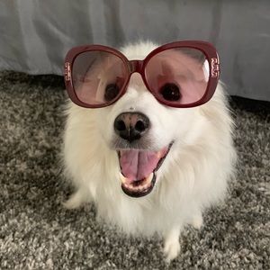 Meet your Posher, Rodrigo